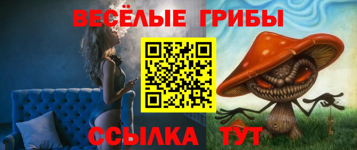 Псилоцибиновые грибы ЛСД Чебоксары