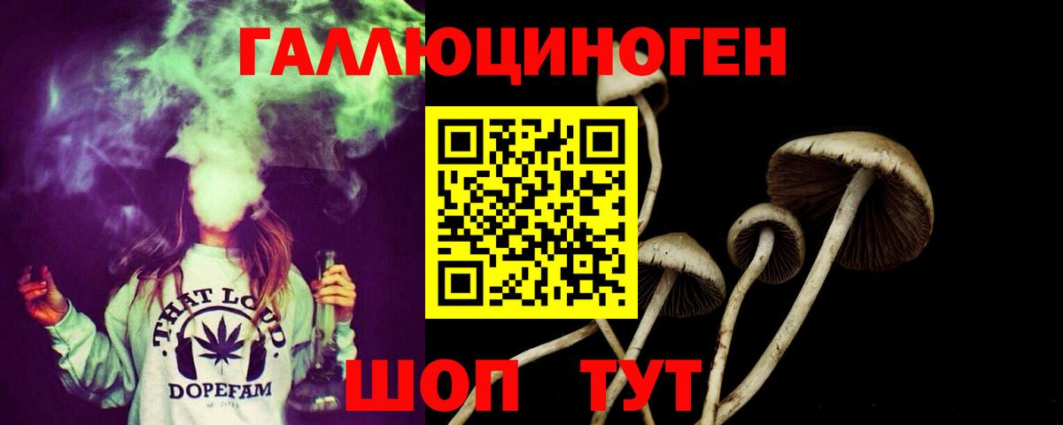 Галлюциногенные грибы MAGIC MUSHROOMS  Вход с VPN  Галлюциногенные грибы Psilocybine cubensis  Чебоксары 